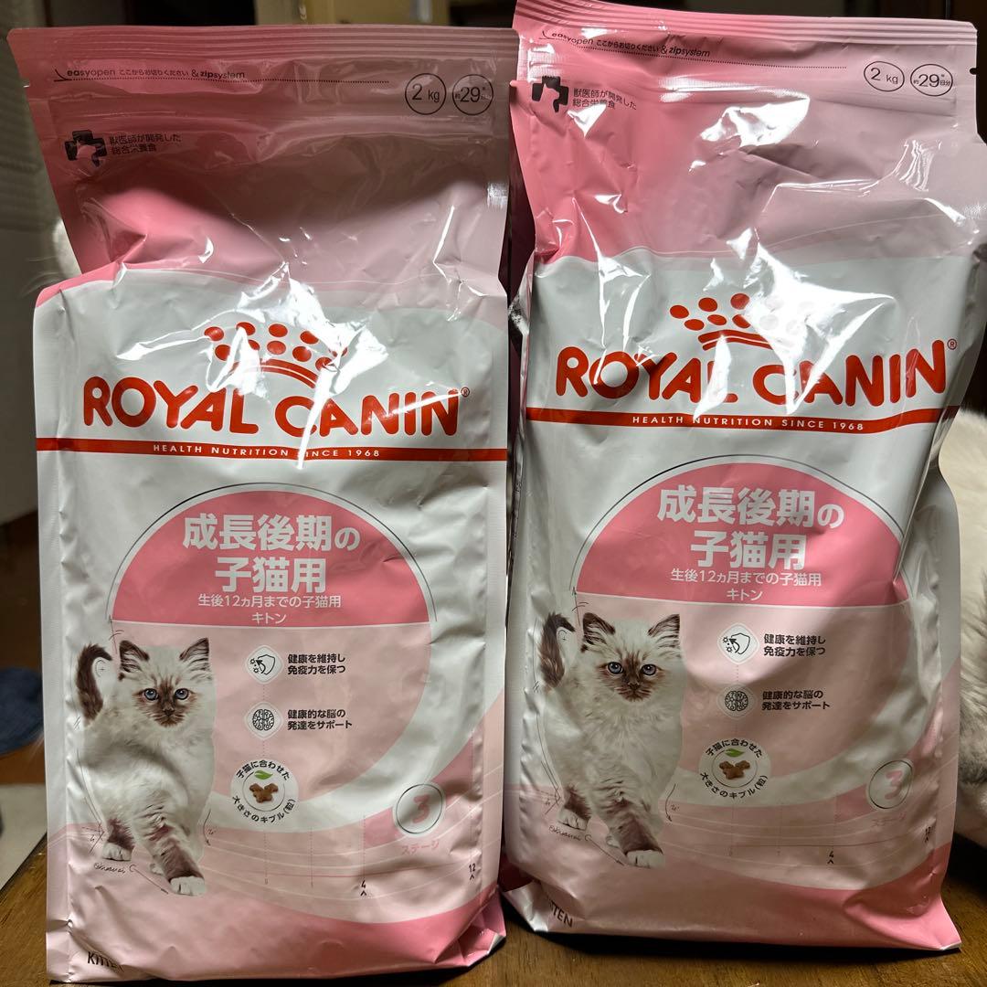  CANIN 成長後期の子猫用 2kg 2袋