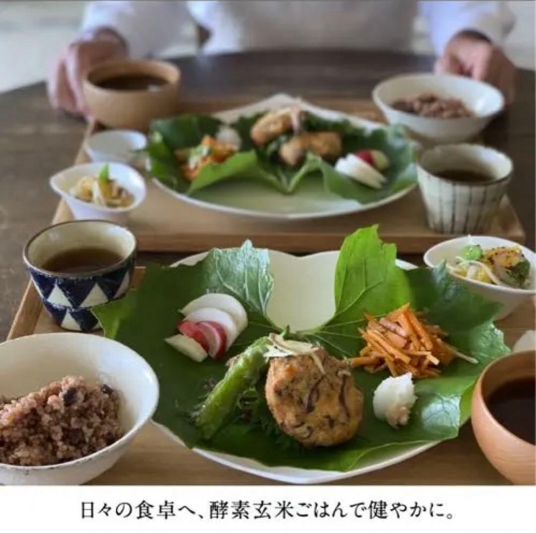 酵素玄米炊飯器 酵素玄米Labo 8合炊き