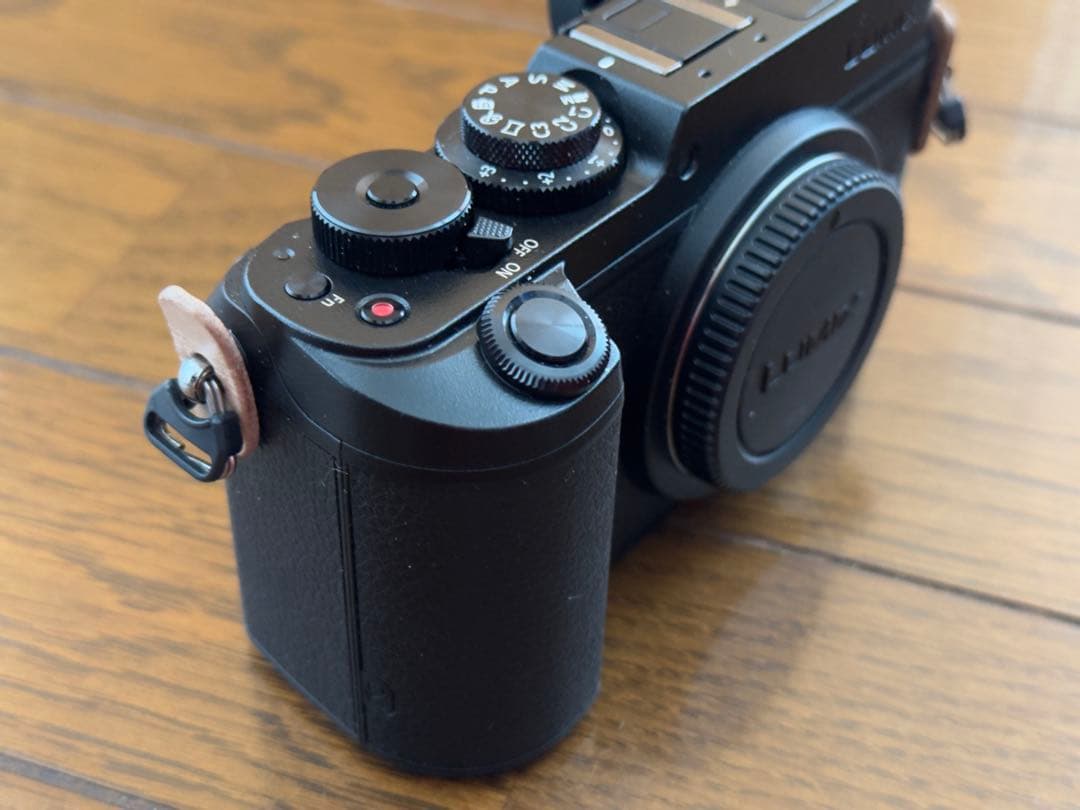 デジタルカメラ LUMIX DMC-GX8