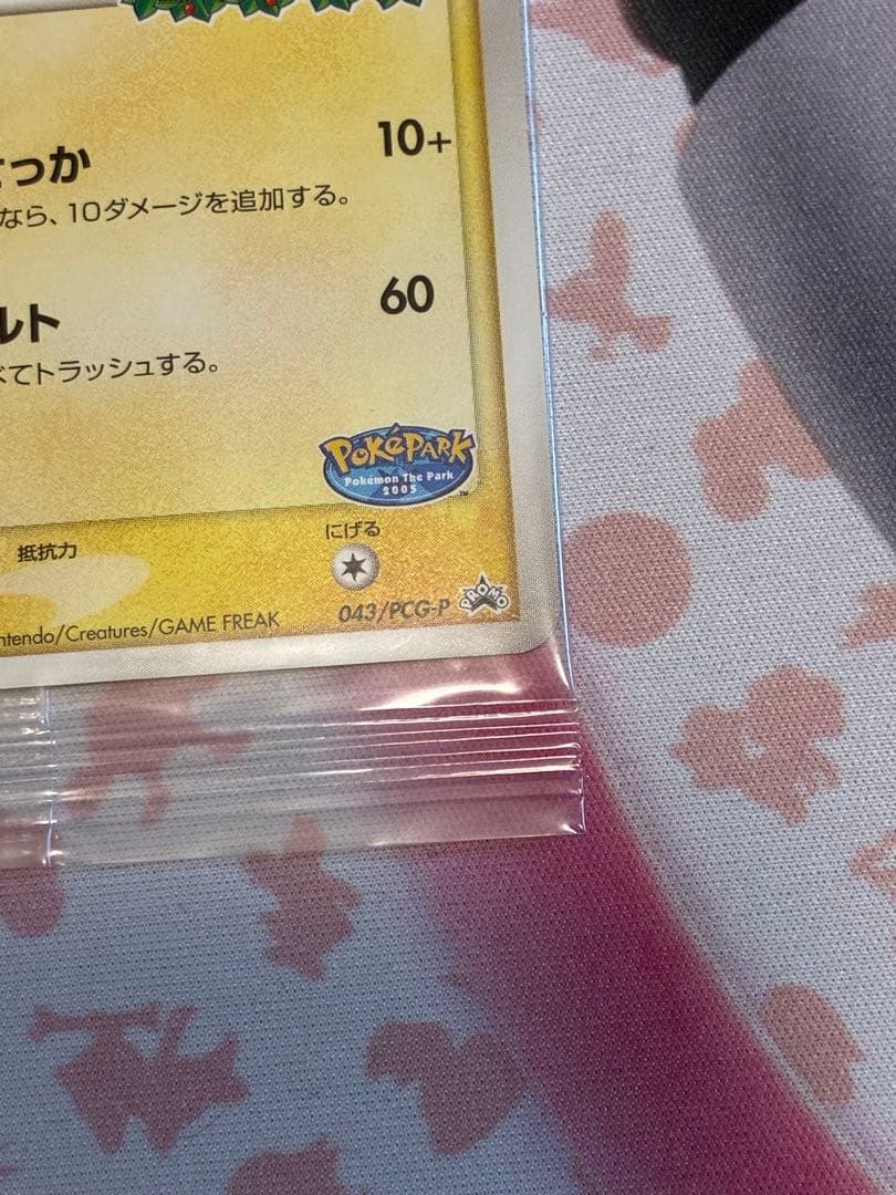 ポケパークのピカチュウ☆PROMO PCG-Pプロモカード 043/PCG-P