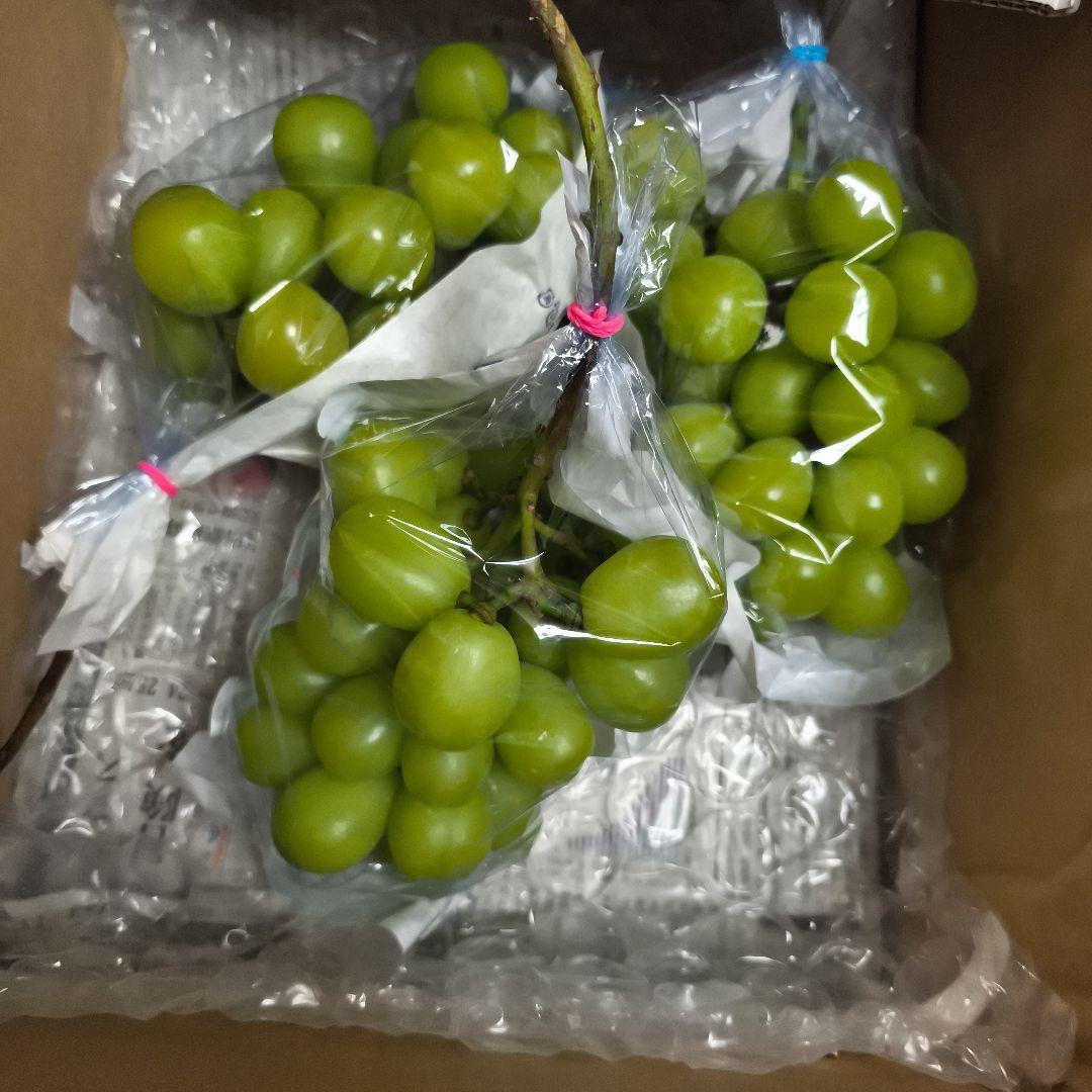 信州高山村　シャインマスカット