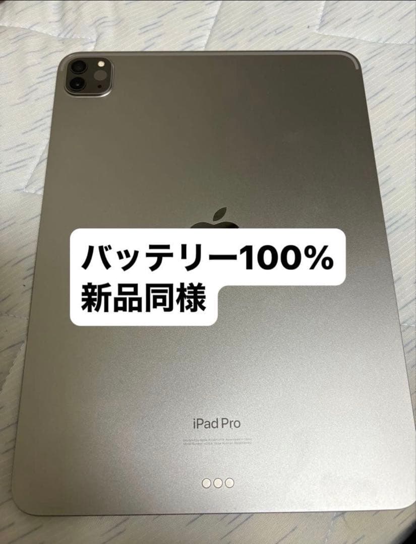 ほぼ新品 iPad Pro 11インチ第4世代256GB iPadpro11