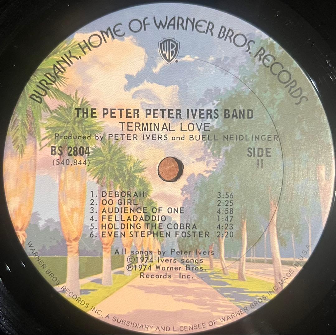 洋楽 The Peter Peter Ivers Band Terminal Love