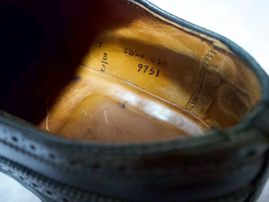 7D Alden 9751 コードバン ロングウイング ブラック