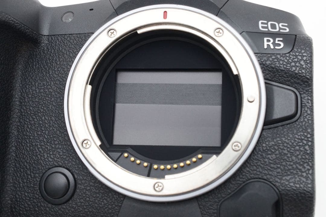 付属品満載 元箱 ミラーレス一眼カメラCanon EOS R5