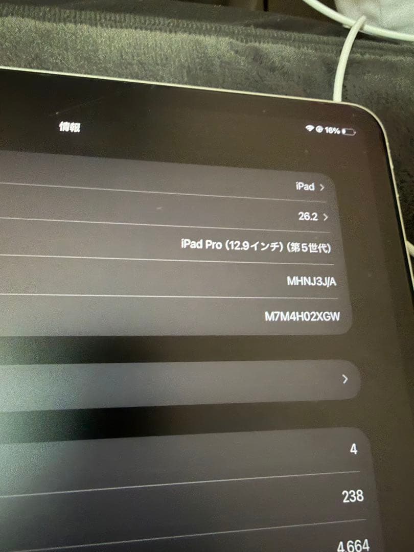 Apple iPad Pro第5世代シルバー 本体　256GB Wi-Fiモデル