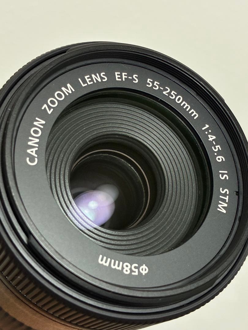 ⭐️極美品⭐️Canon EF-S 55-250mm STM レンズ フード付