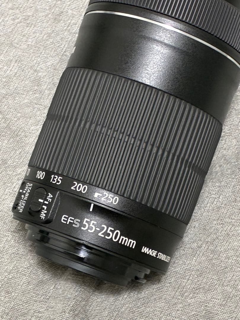⭐️極美品⭐️Canon EF-S 55-250mm STM レンズ フード付