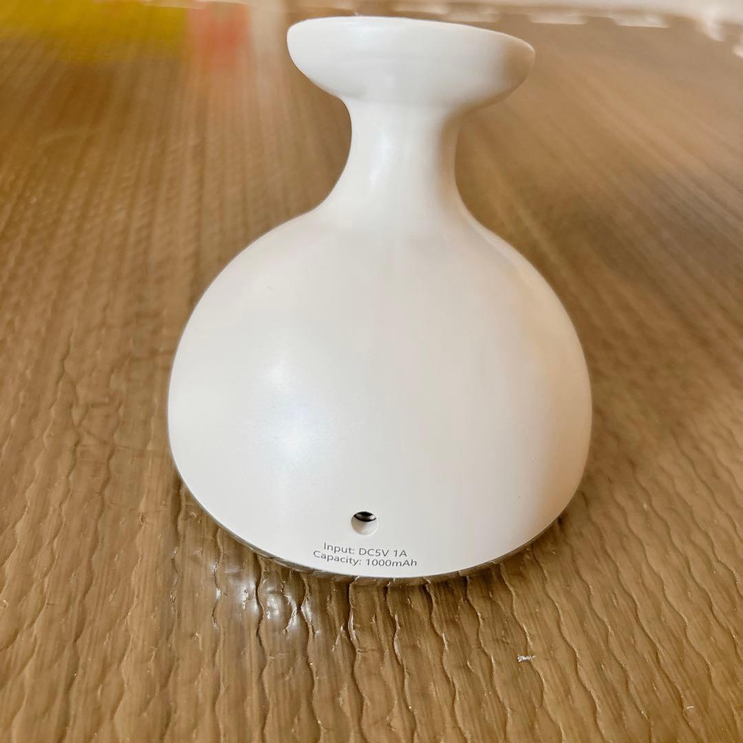 ⭐️(再)美顔器　振動 LED搭載 1台多役 5種類モード 3段階強