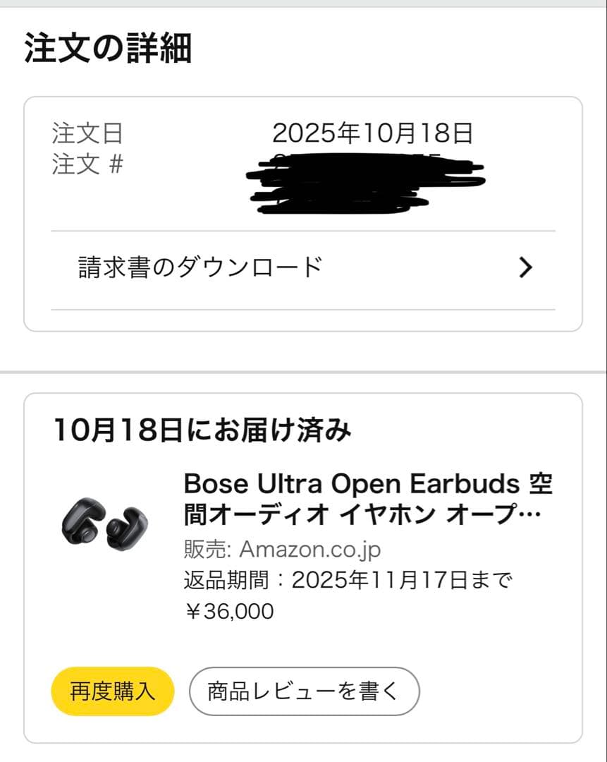 BOSE ULTRA OPEN EARBUDS ブラック