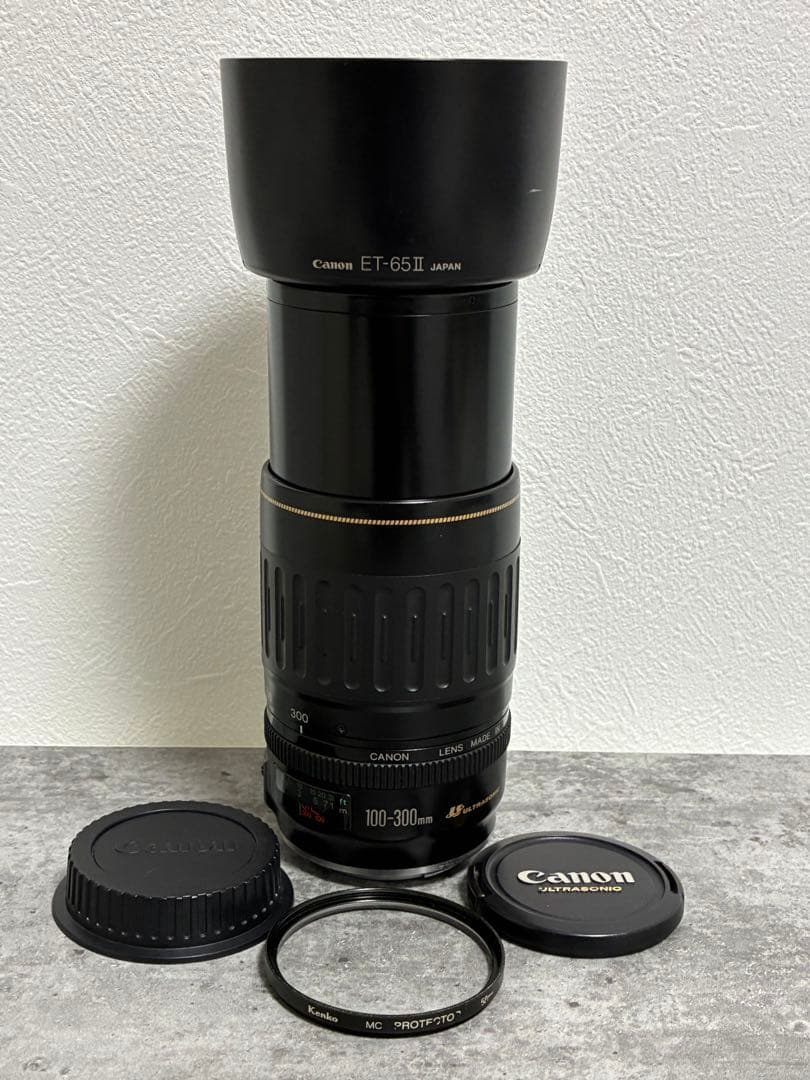⭐️美品⭐️キャノンCanon EF 100-300mm 4.5-5.6 USM