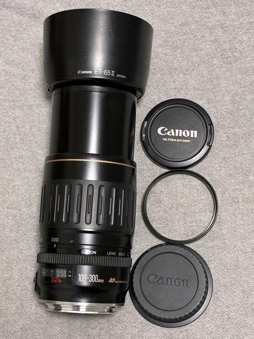 ⭐️美品⭐️キャノンCanon EF 100-300mm 4.5-5.6 USM