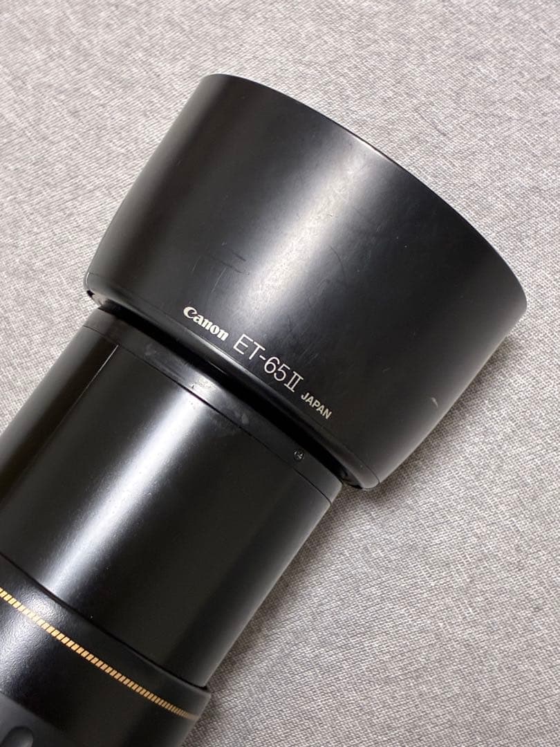 ⭐️美品⭐️キャノンCanon EF 100-300mm 4.5-5.6 USM