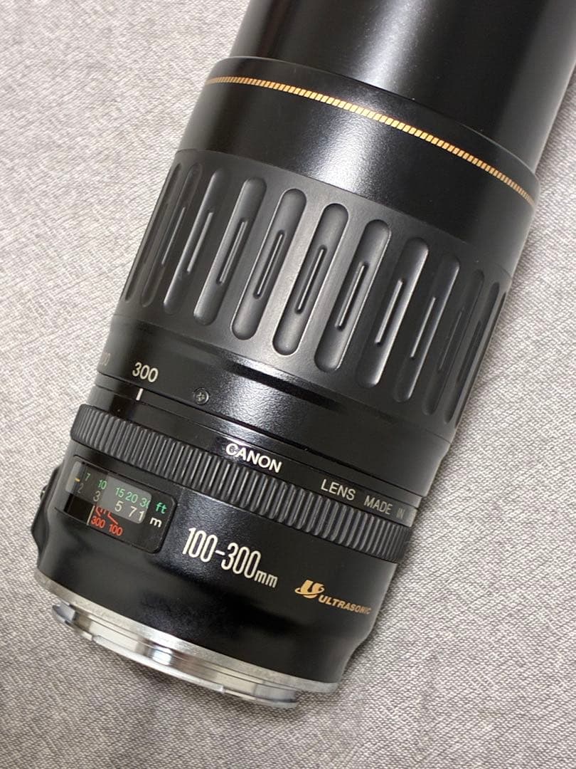 ⭐️美品⭐️キャノンCanon EF 100-300mm 4.5-5.6 USM