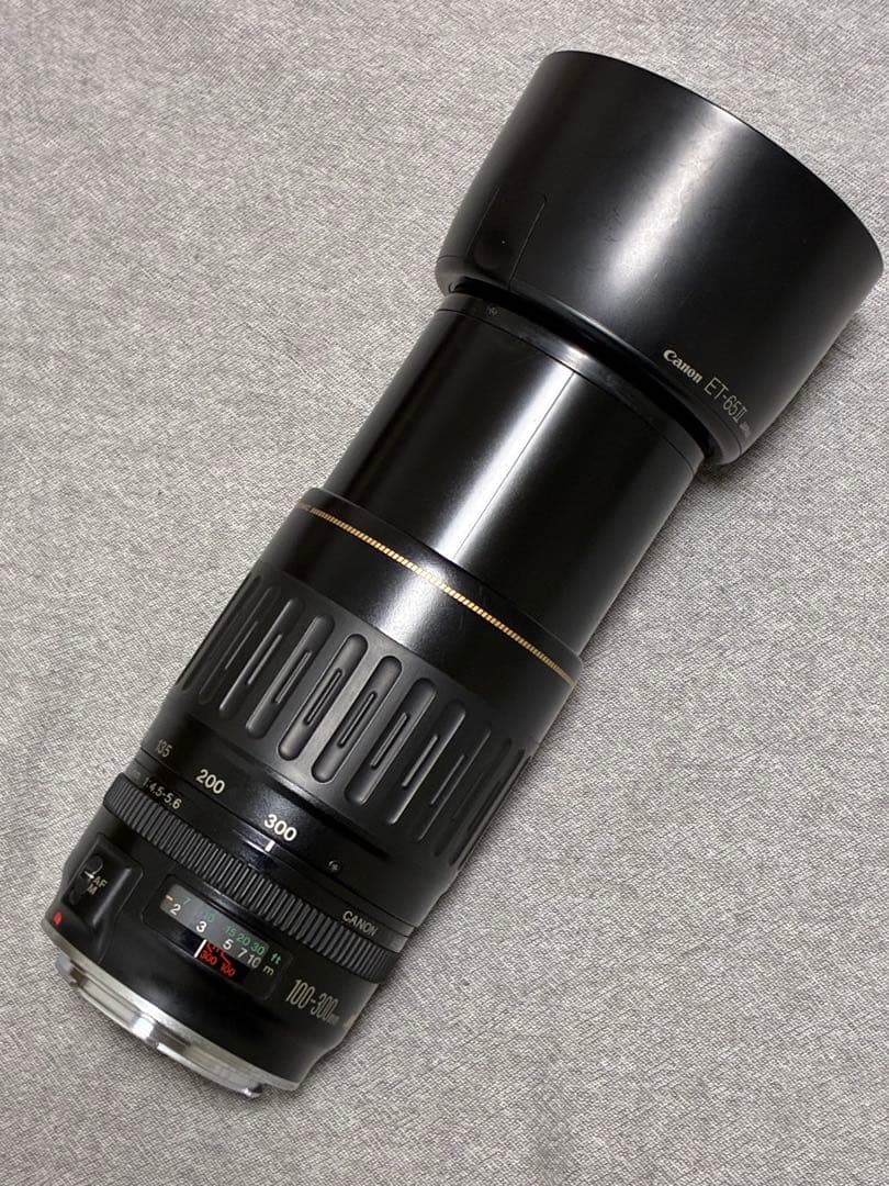 ⭐️美品⭐️キャノンCanon EF 100-300mm 4.5-5.6 USM