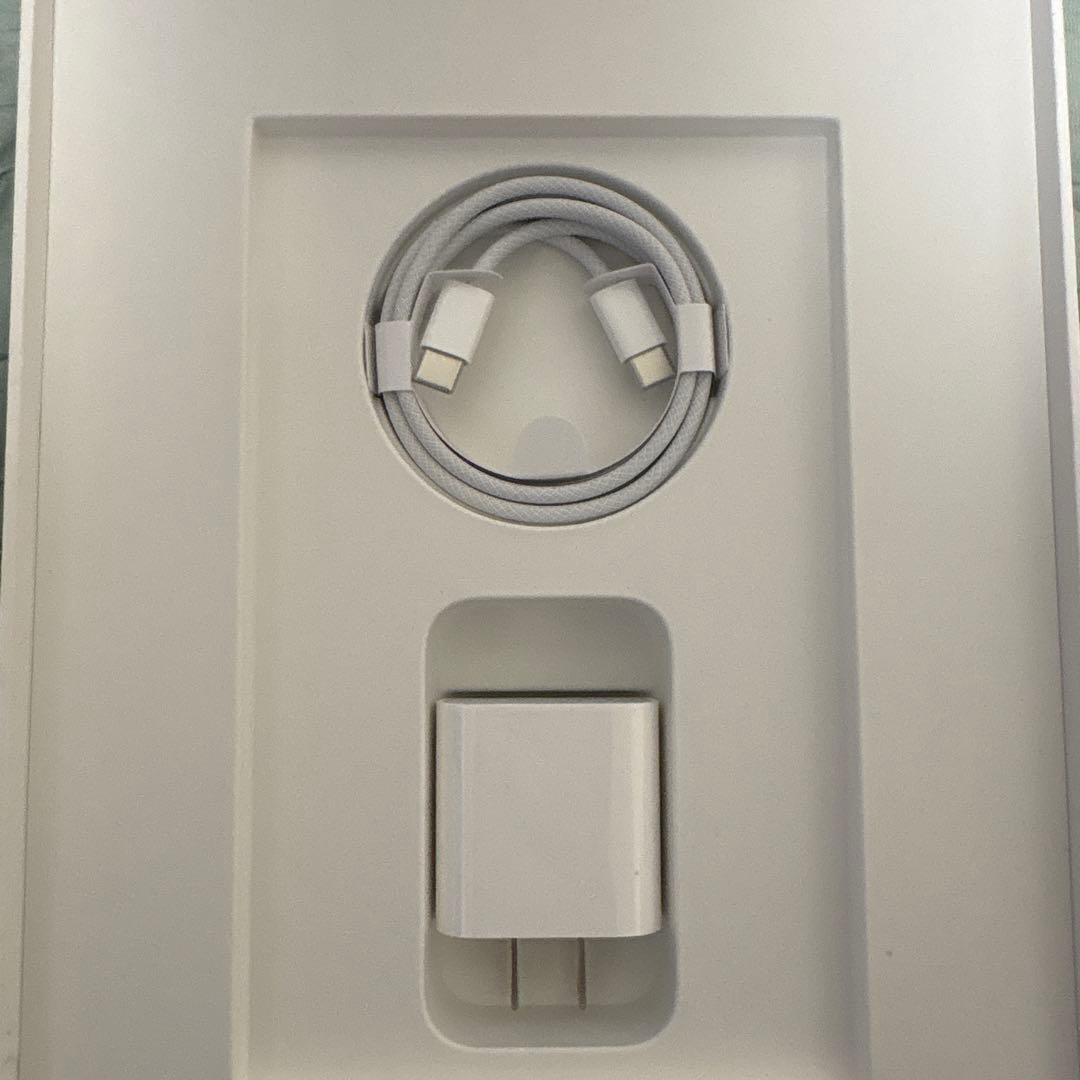 iPadA16 第11世代 Wi-Fiモデル ブルー 128GB