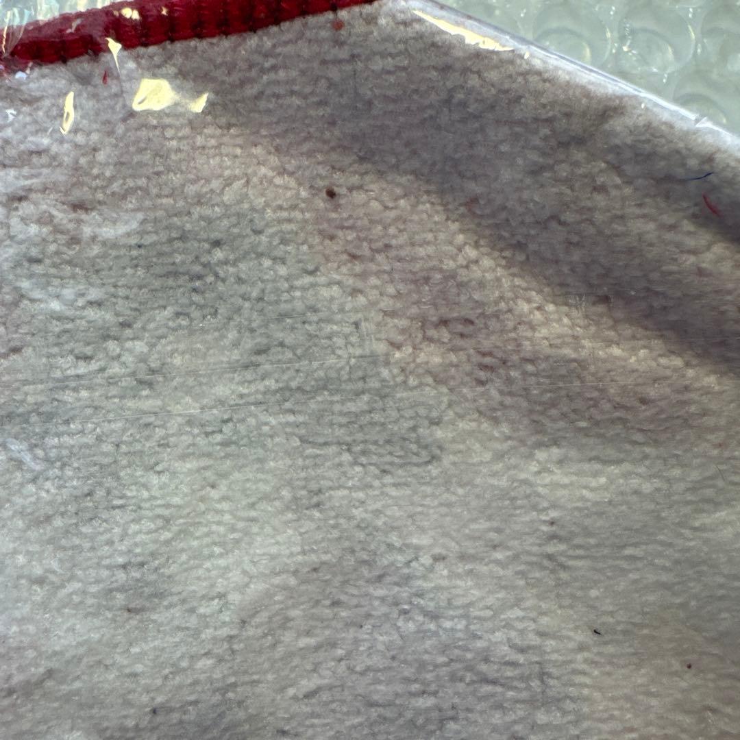 ポケモン　プラターヌ博士　ミニタオル