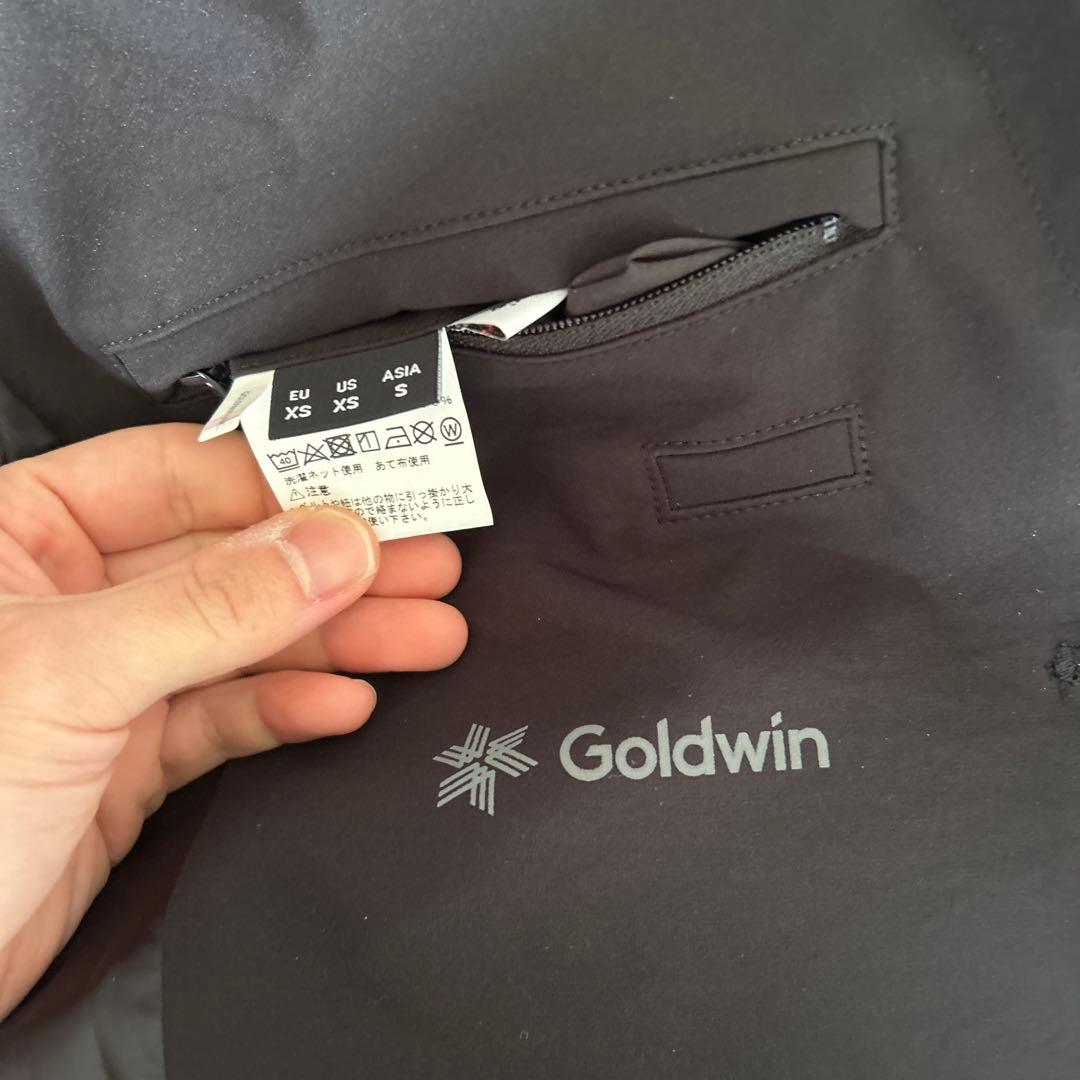 goldwin セットアップ