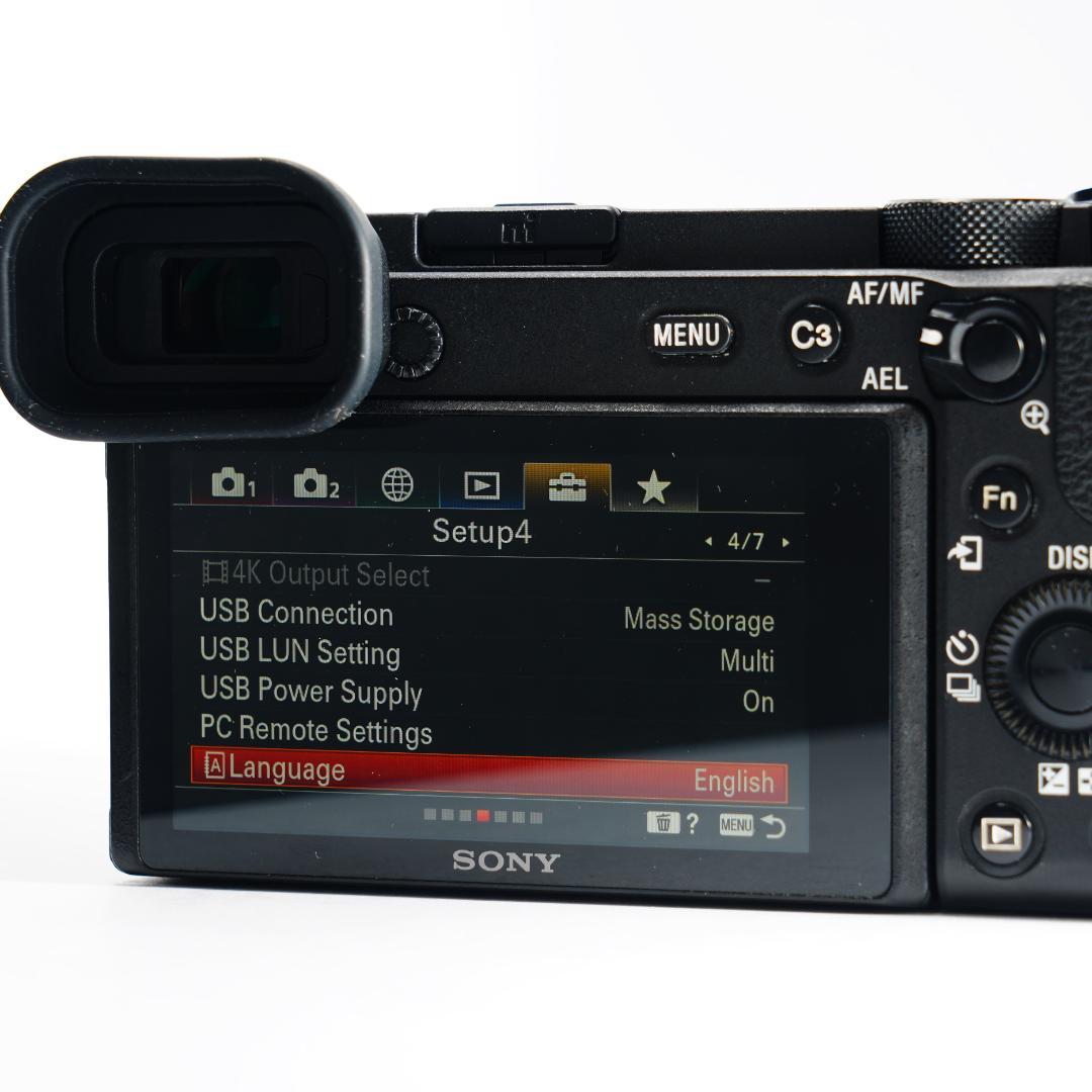 あきのもみじ SONY α6600 ミラーレス