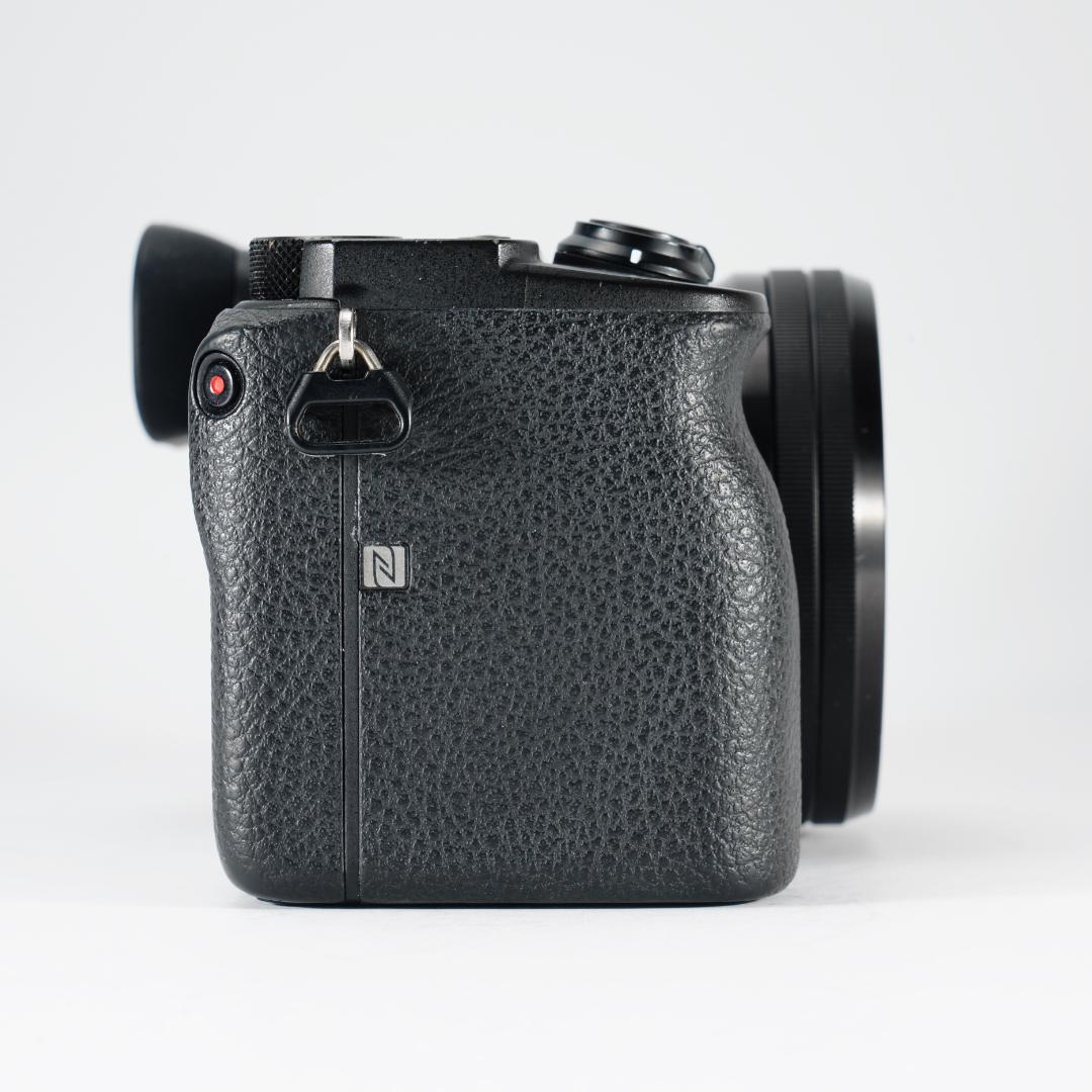 あきのもみじ SONY α6600 ミラーレス