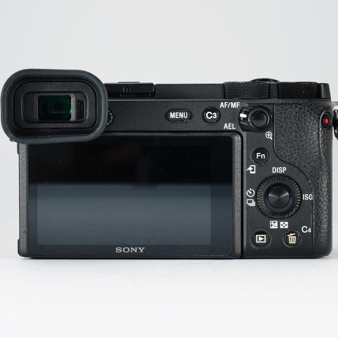 あきのもみじ SONY α6600 ミラーレス