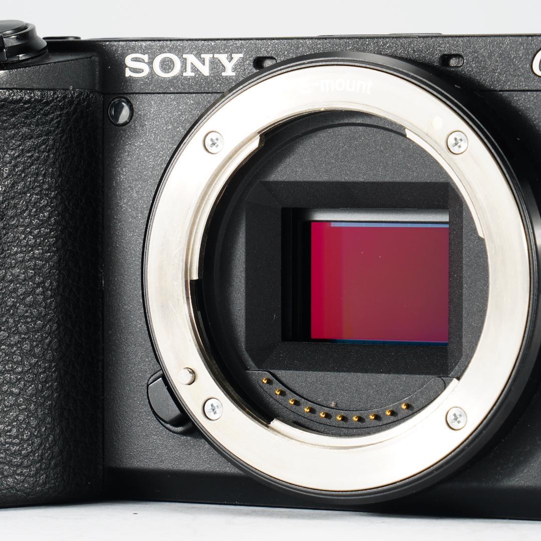 あきのもみじ SONY α6600 ミラーレス