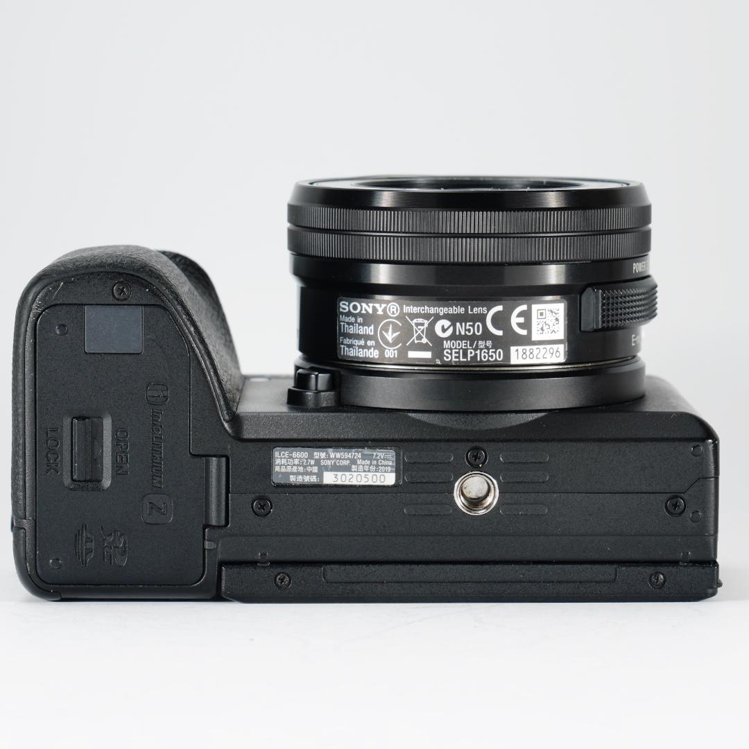 あきのもみじ SONY α6600 ミラーレス