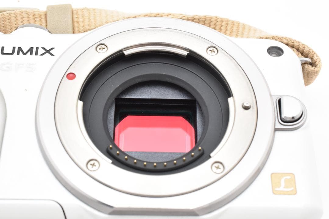 ★美品★パナソニック ルミックス DMC-GF5 ボディ #20659