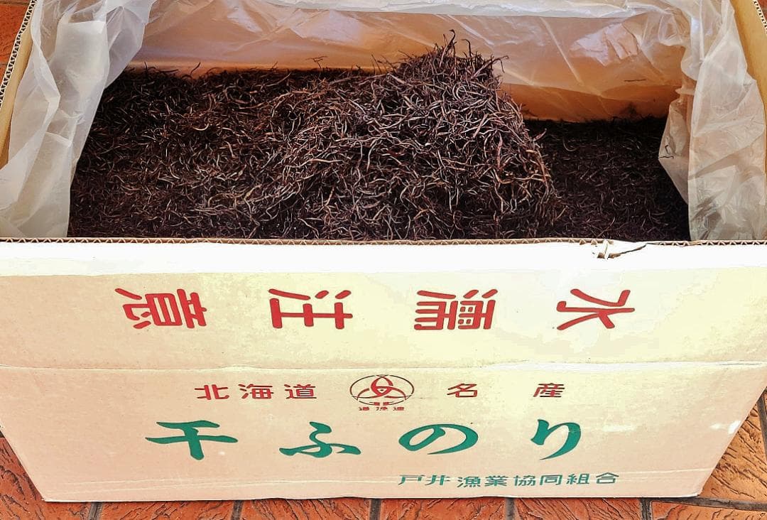 北海道産手摘み天然乾燥寒ふのり500g北海道産業務価格のお徳用大袋特価