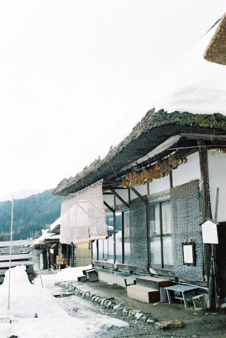 キャノンⅡF〈E・P〉／キャノン50mmf2.8ゼブラ付【実写確認整備品】