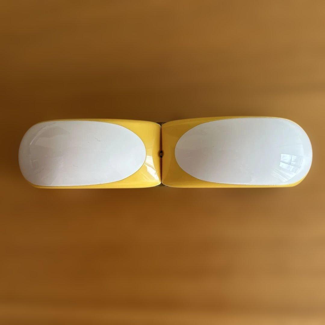 テラファイト卑弥呼　ゴールド