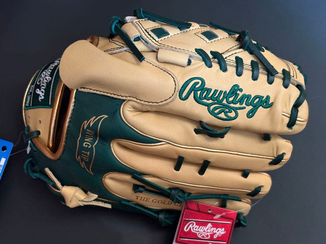 ローリングス グラブ 軟式 大人用 投手用 左投 GR5HTCA15W