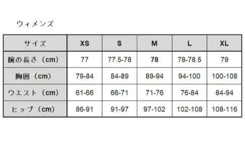 Burton [ak] GORE-TEX ジャケット ミント
