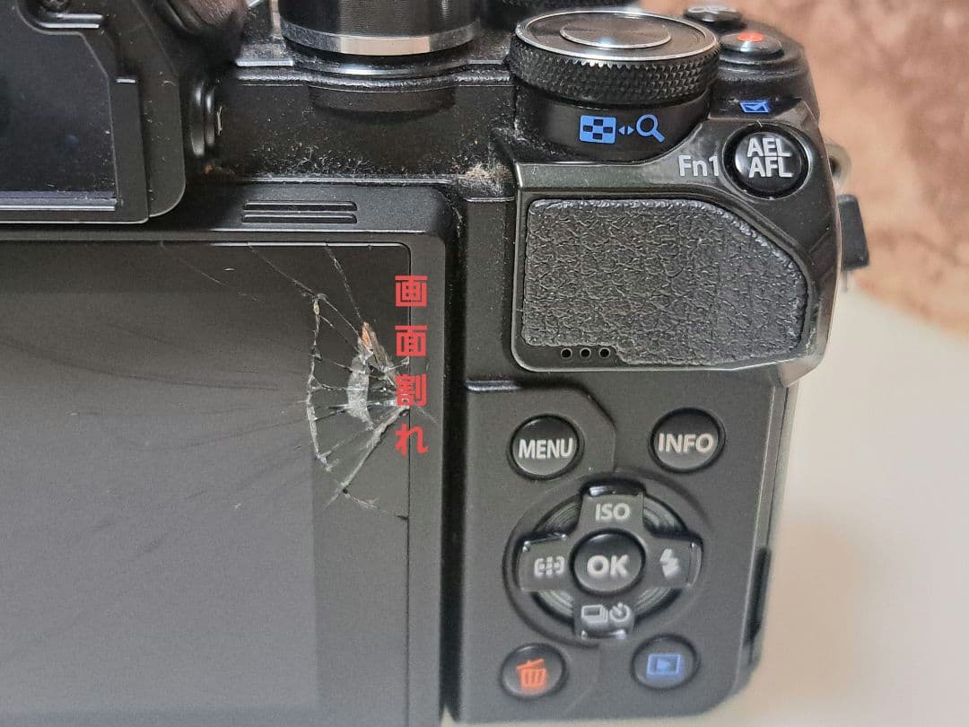 OLYMPUS OM-D E-M10 Mark III カメラボディ【難有り】