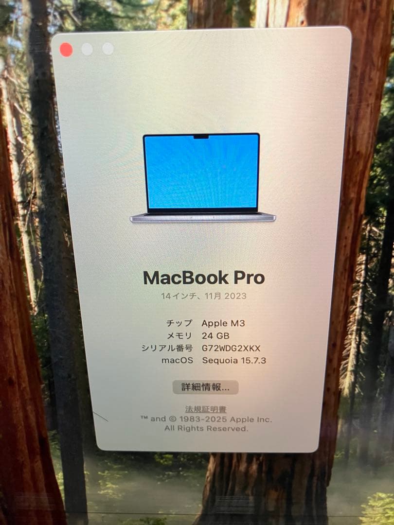 【ジャンク】MacBook Pro 14（2023）M3 24GB/512GB
