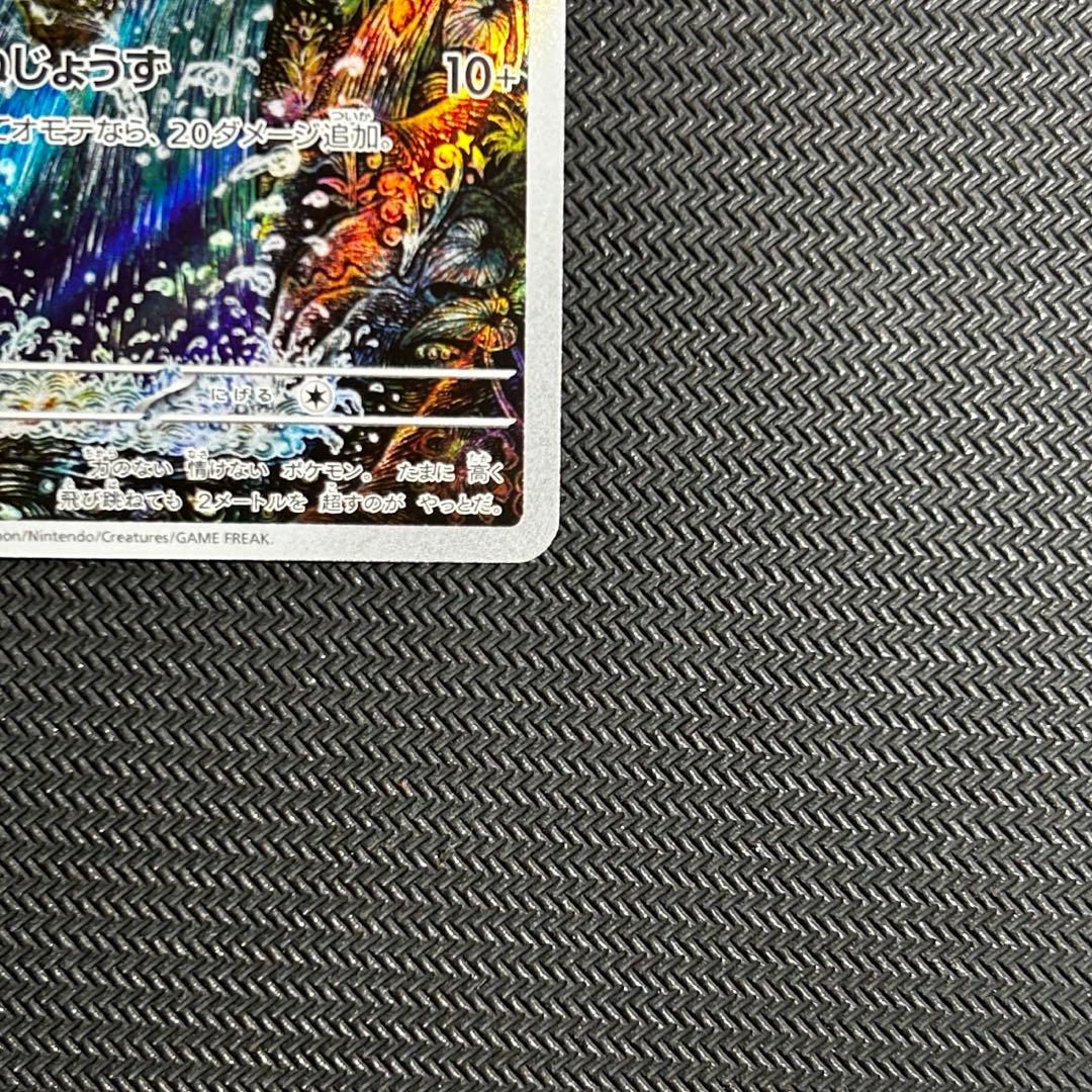 コイキング　AR