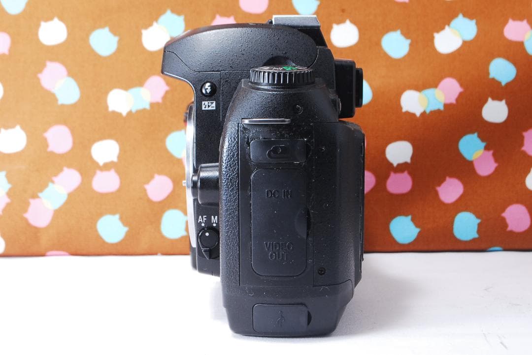 ✨ショット数4601回✨届いてすぐ使える✨Nikon D70s レンズセット