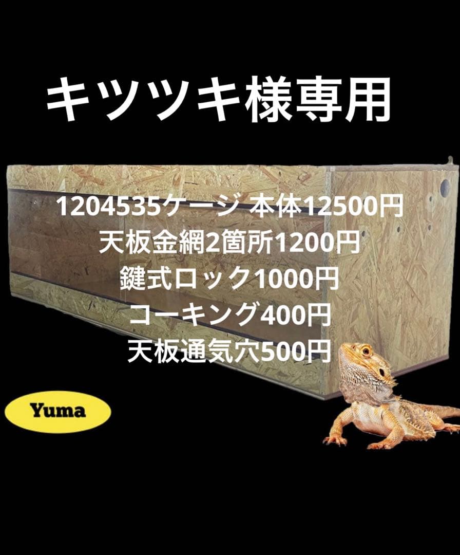 キツツキ　1204535