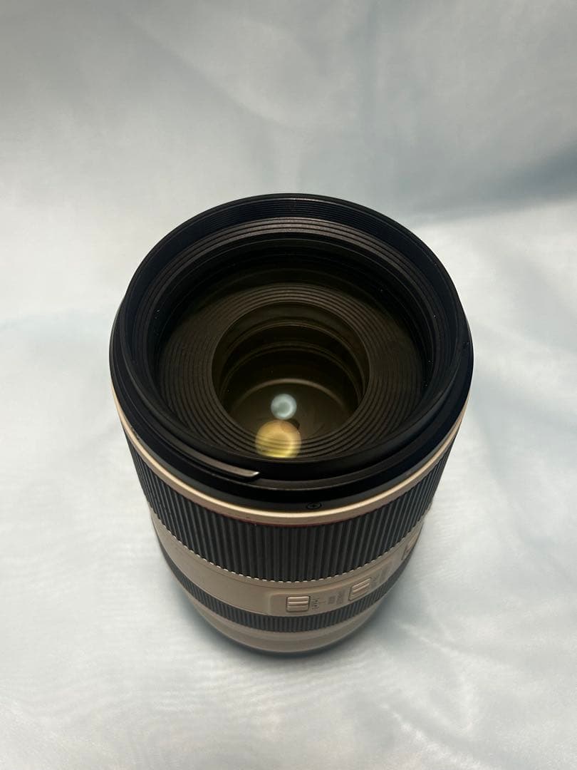 レンズ(ズーム) RF 70-200mm F2.8 L IS USM