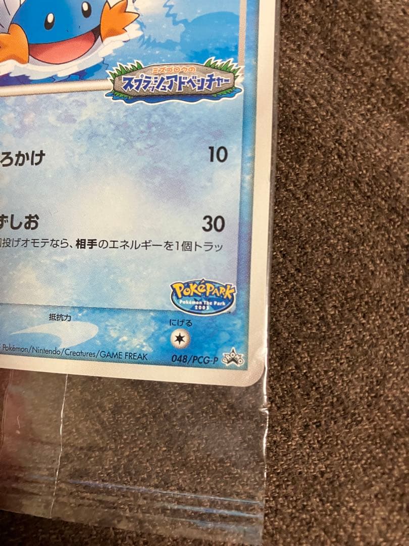 【未開封】ポケパークのミズゴロウ