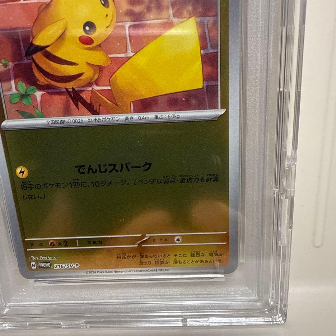 ピカチュウ SV-P PROMO【PSA10】ポケカの夏がキタ #216