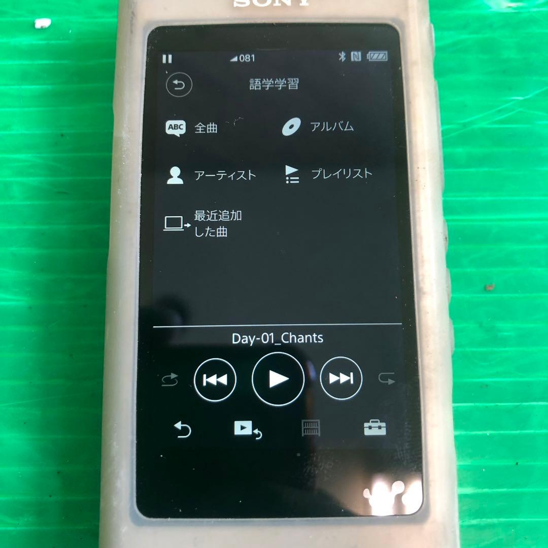 SONY ウォークマン デジタルオーディオプレーヤー NW-A55
