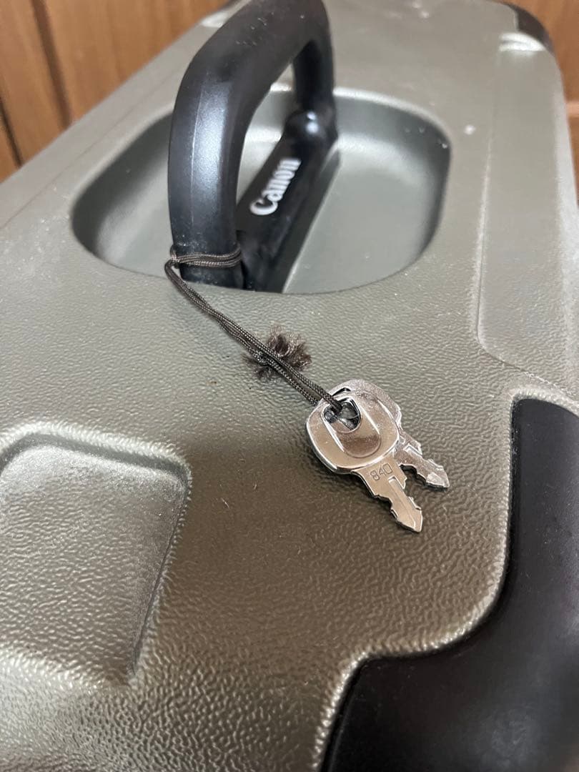 Canon EF600mm F4L IS USM 現状品