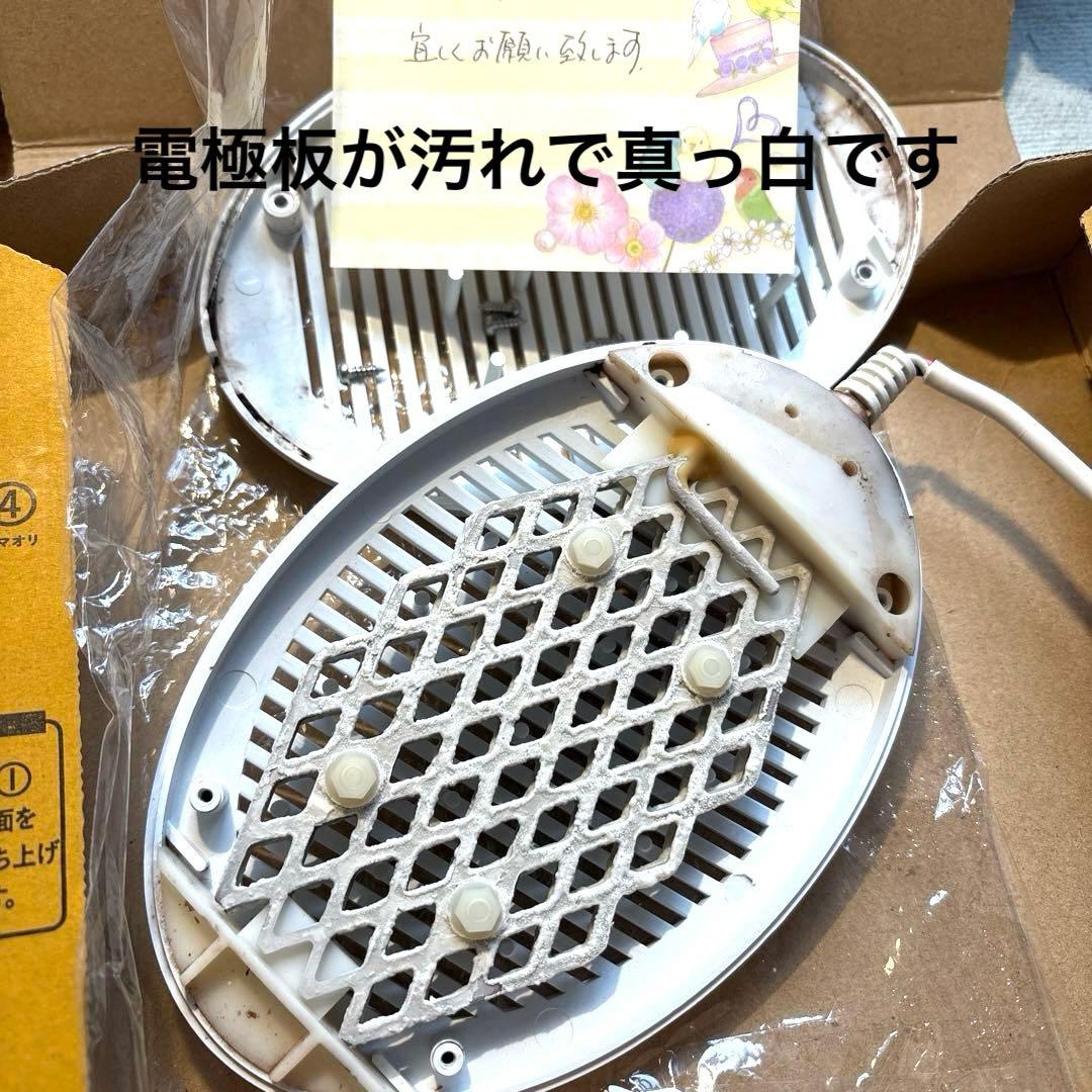 ブンちゃん専用品