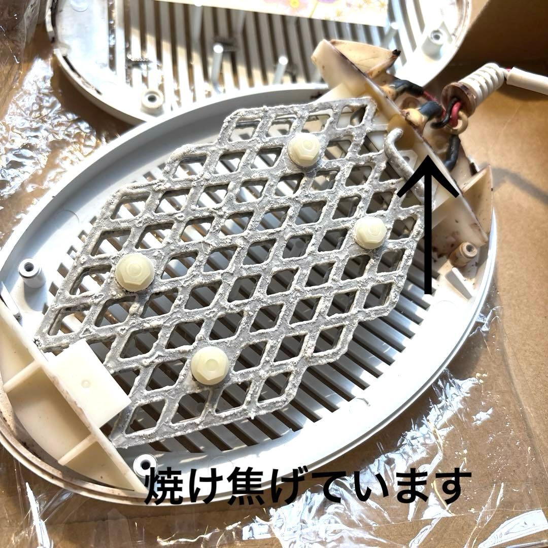 ブンちゃん専用品