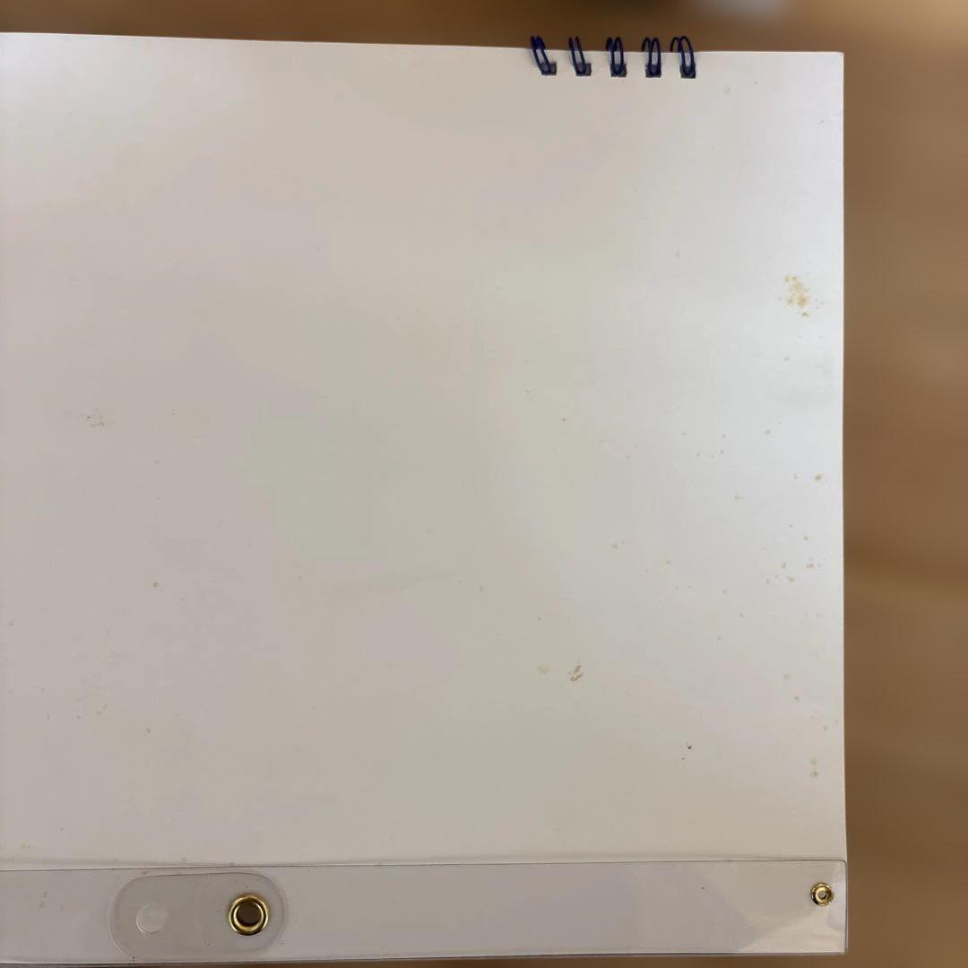 EDWZ_everyday with zippyの英語教材