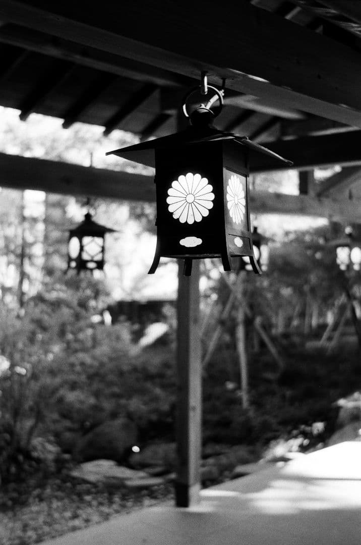 Voigtländer Vito CLR COLOR-SKOPER 2.8/50