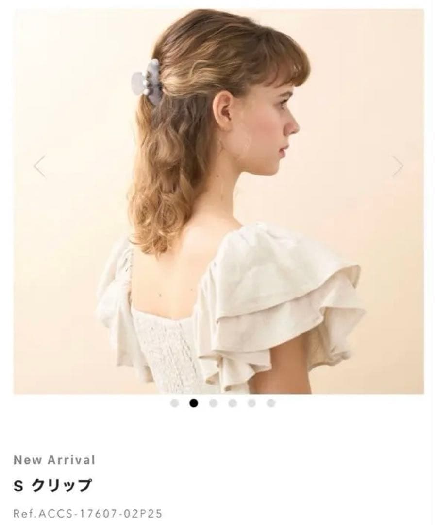 ALEXANDRE DE PARIS S クリップ グレー　2025年春夏　新作