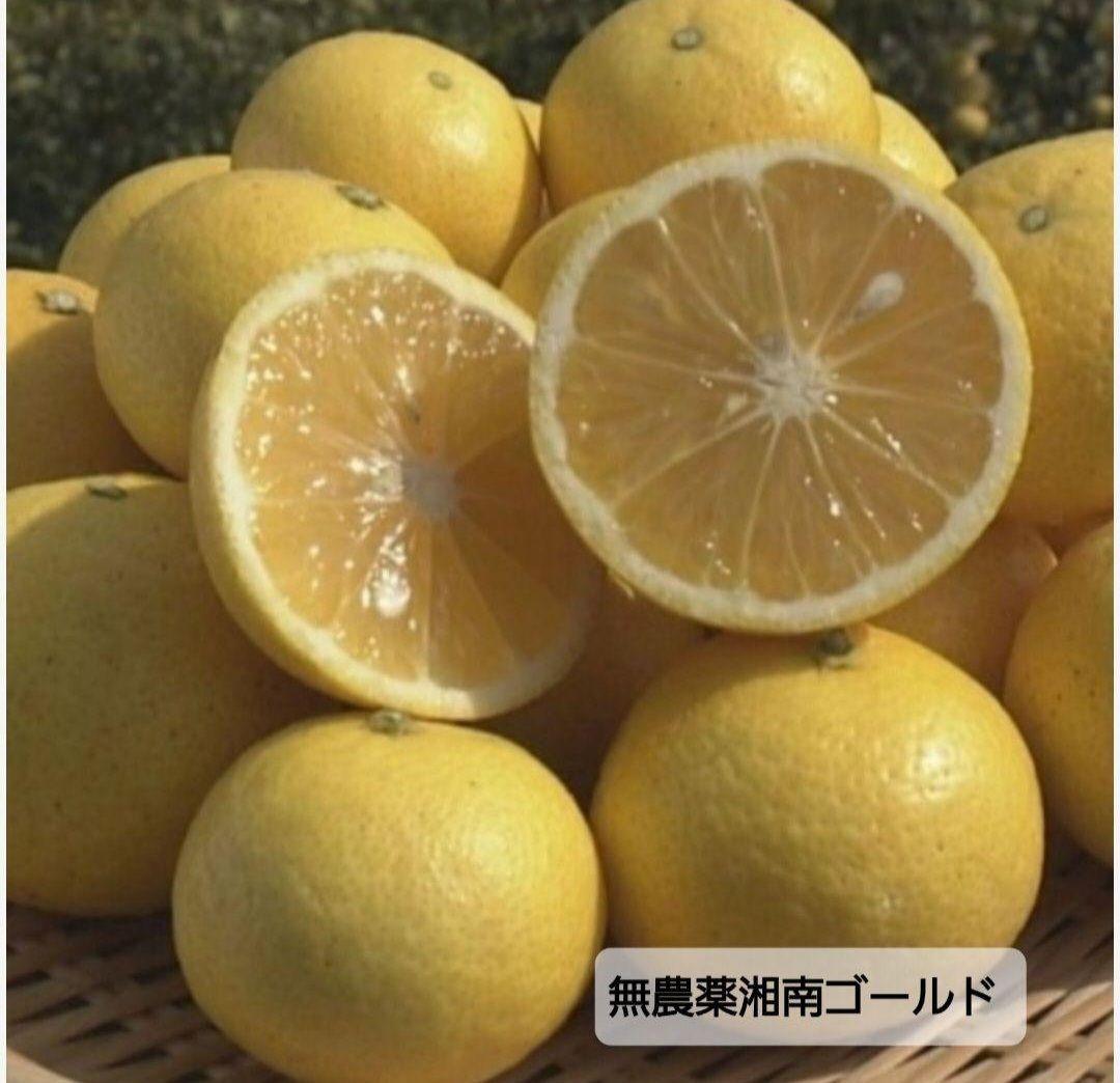 得フルーツシフォンケーキ米粉ハーフハーフ