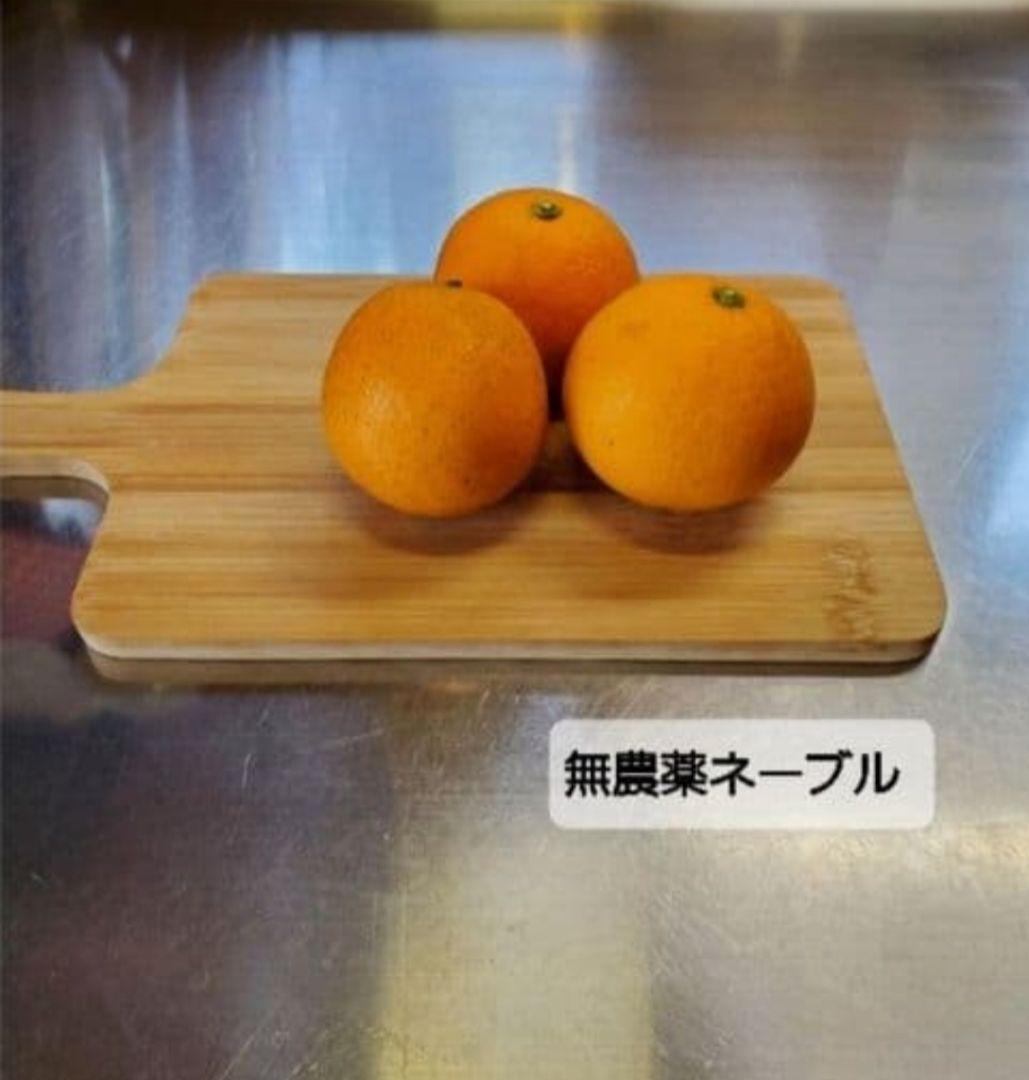 得フルーツシフォンケーキ米粉ハーフハーフ